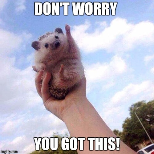 Don't worry! You got this