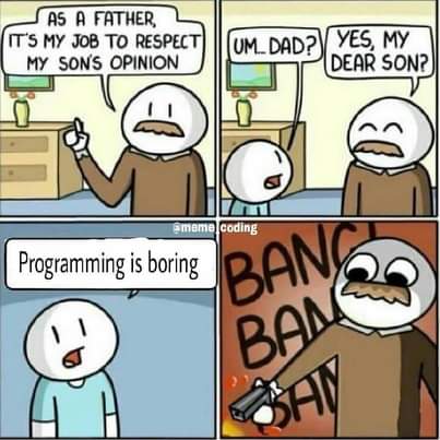 Is Programming boring meme
