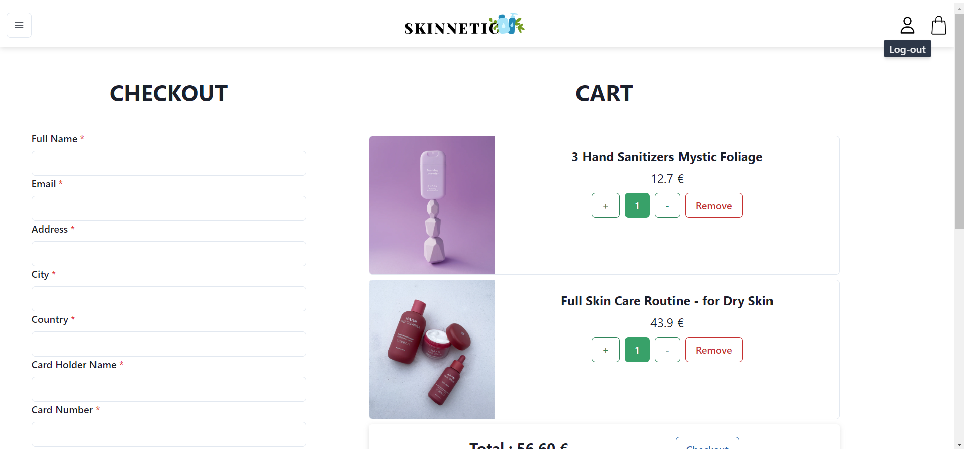 Screenshot of the checkout page 