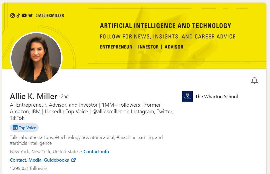 Allie Miller's LinkedIn profile