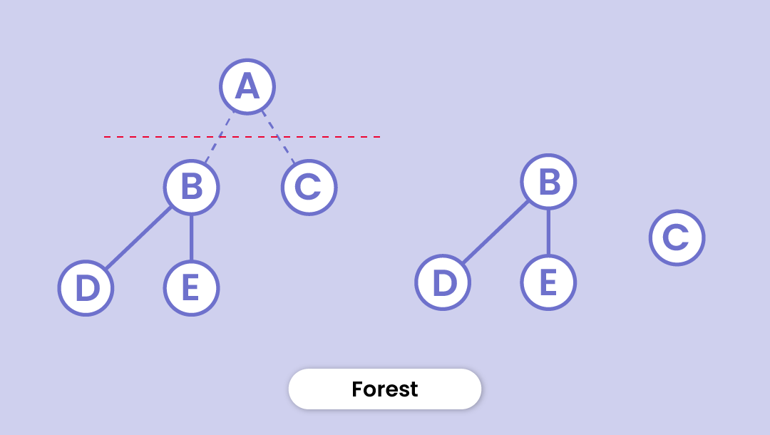 Tree Data Structure - Types, Applications, Operations